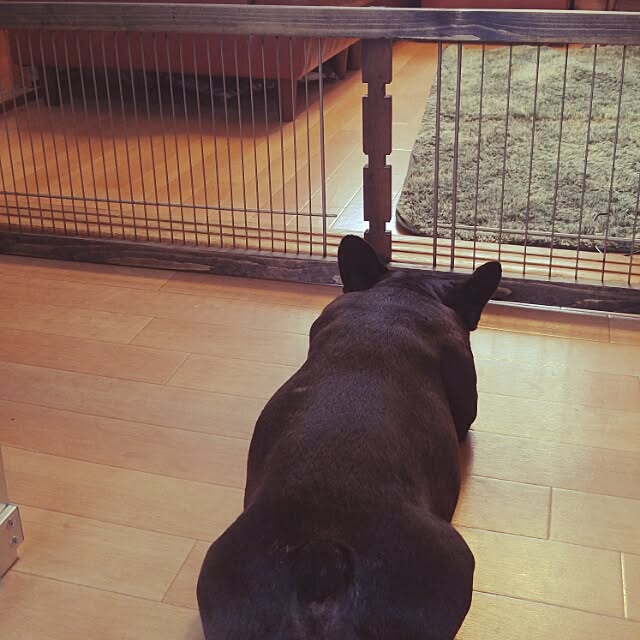 junbeさんの実例写真