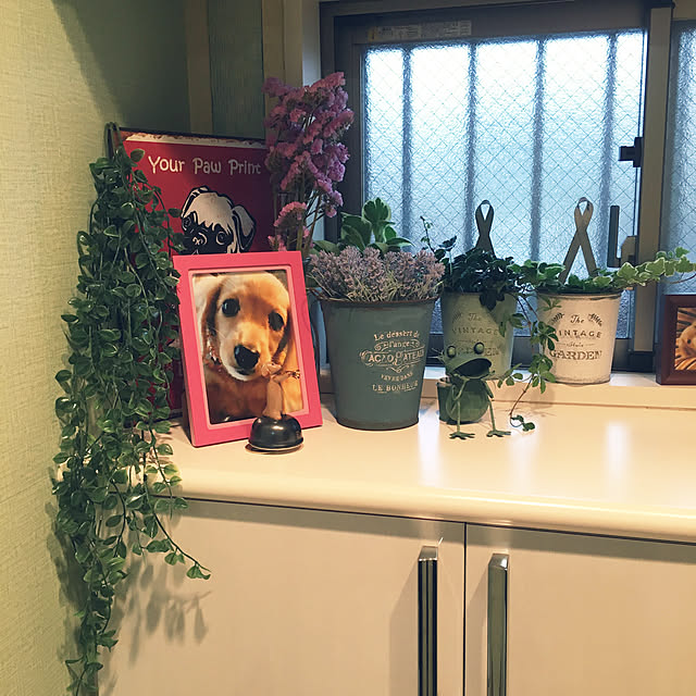 akiemiiさんの実例写真