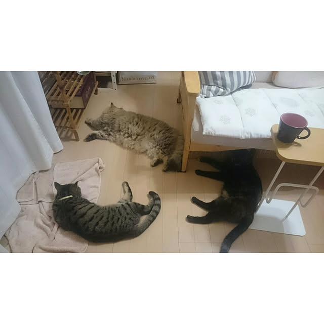 実例写真