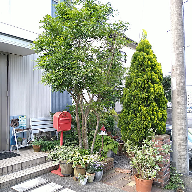 kohmarlさんの実例写真