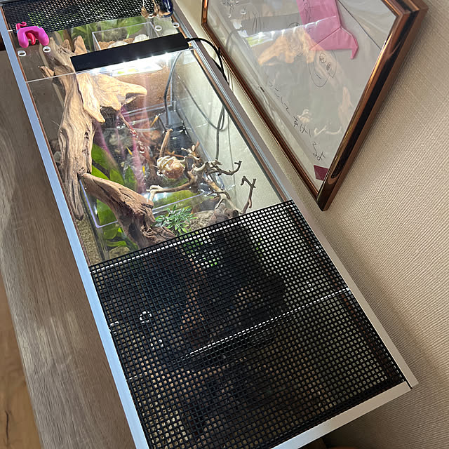 suzuさんの実例写真