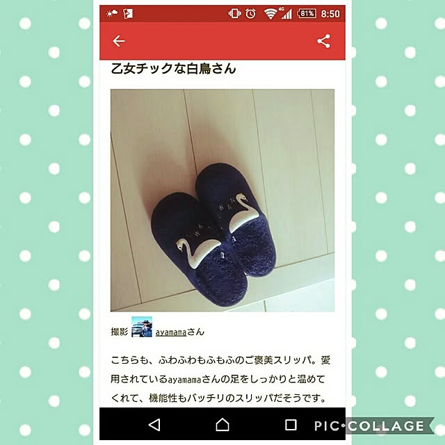 ayamamaさんの実例写真