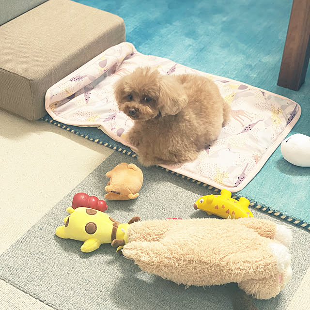 otsutaudonkoさんの実例写真