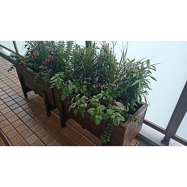 WOODPROさんの部屋