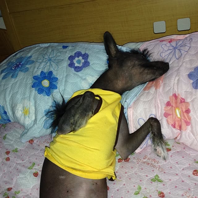 Kumikoさんの実例写真