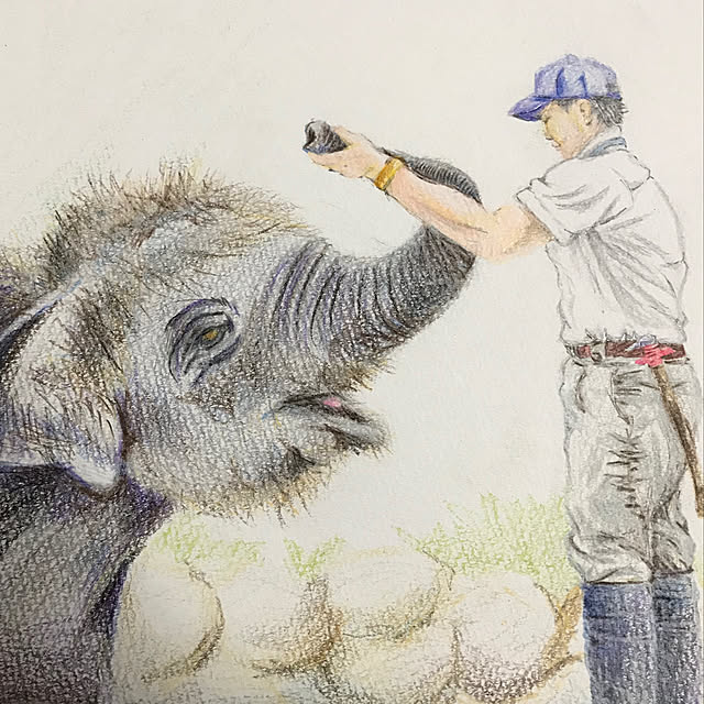 実例写真