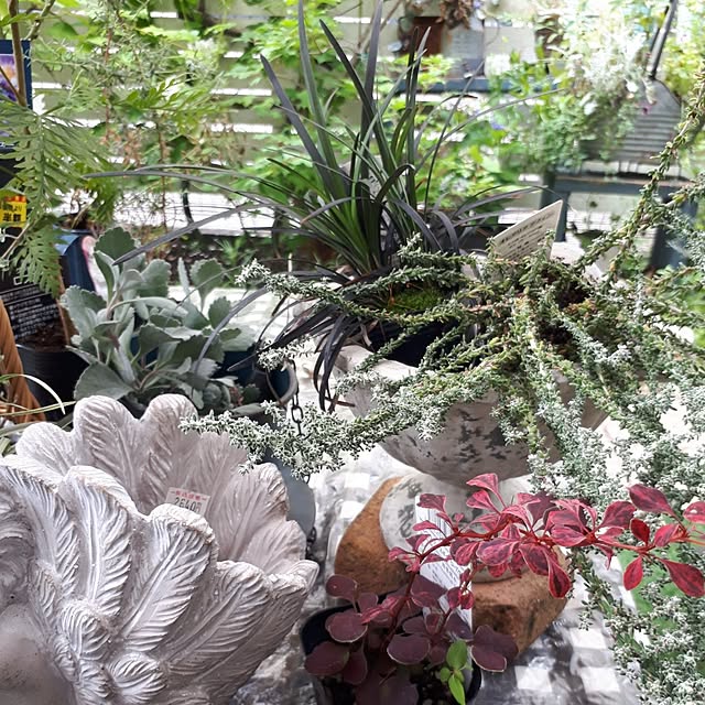 min_nimさんの部屋