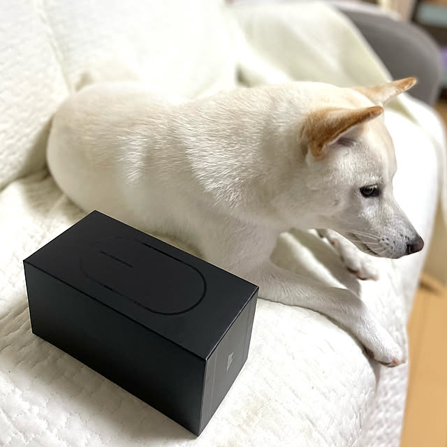 mo-nosukeさんの実例写真