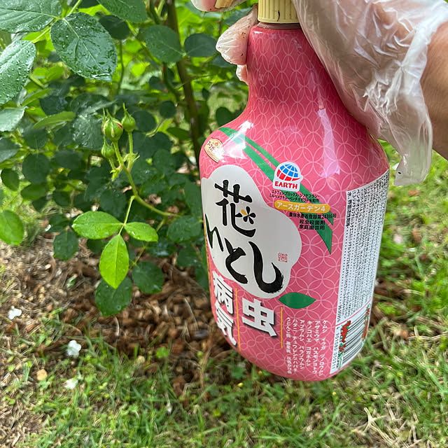 rokokoさんの実例写真