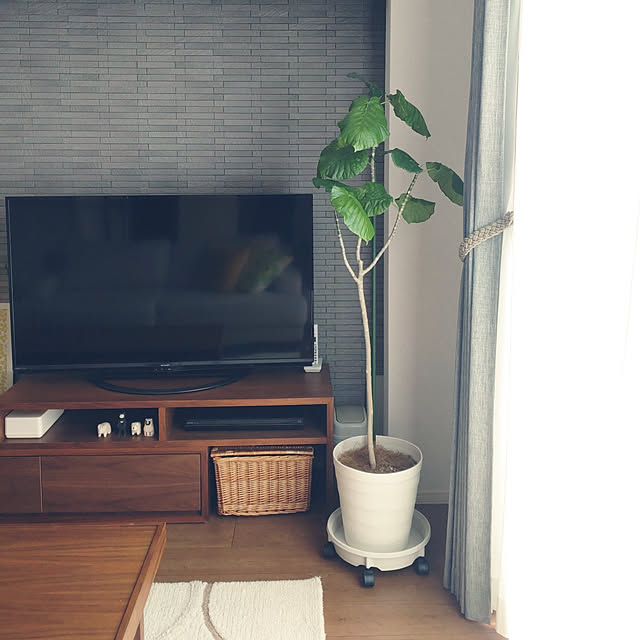 tan5さんの実例写真