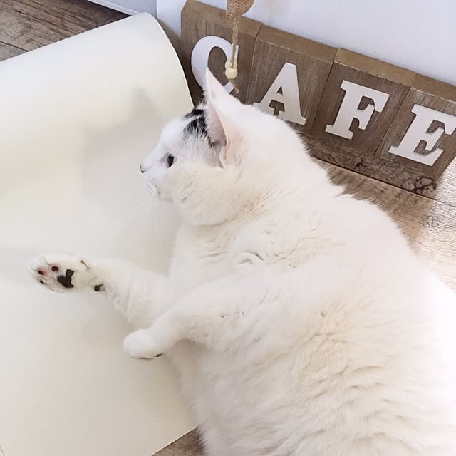 miさんの実例写真