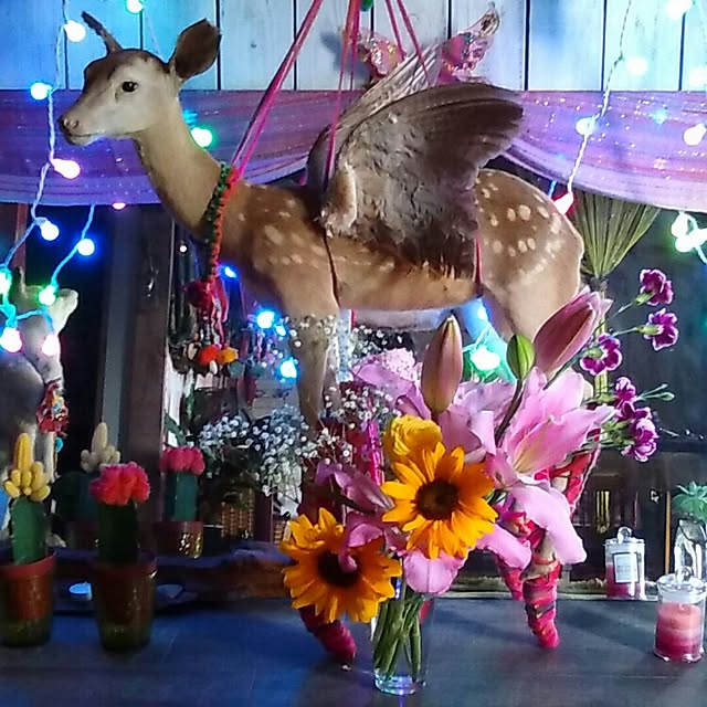 musinosekaiさんの実例写真