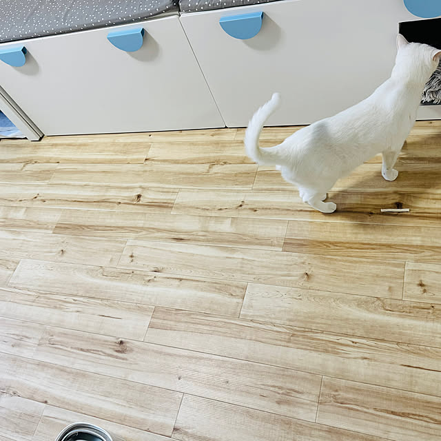 mirai-twdl28さんの実例写真