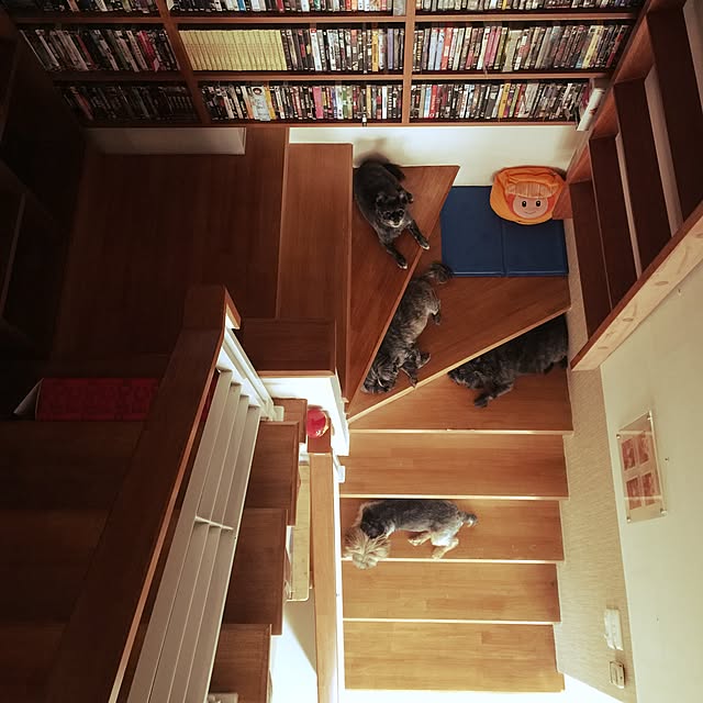 Thammaratさんの実例写真