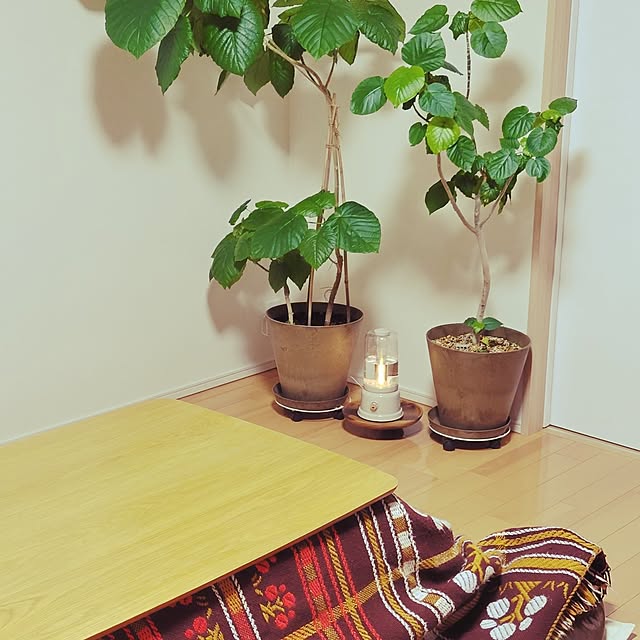 akiak.3さんの実例写真