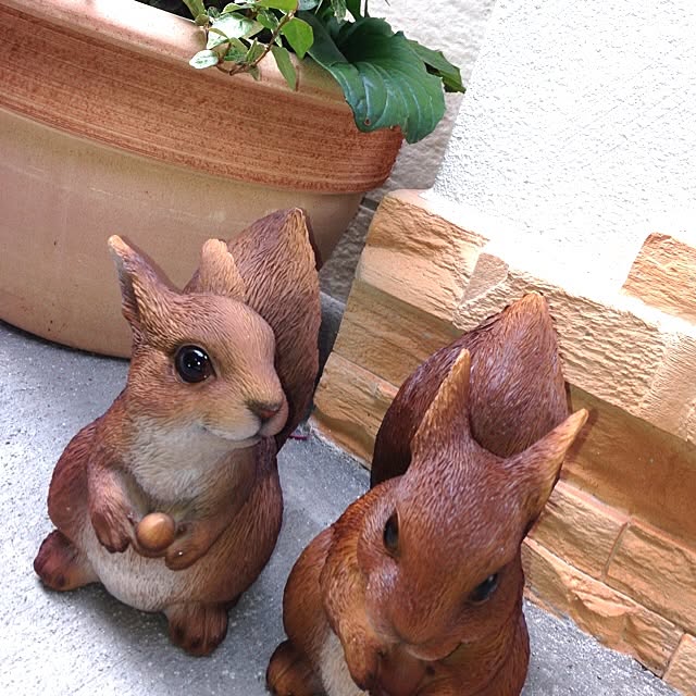 Mizorogiさんの実例写真