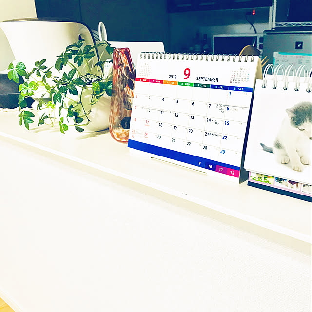 ponさんの実例写真