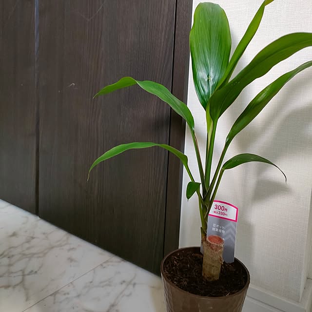 napiさんの部屋