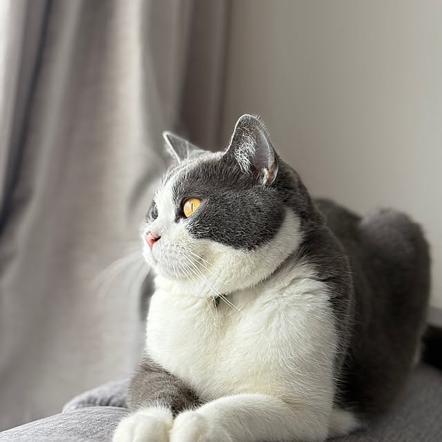 Hachiさんの部屋