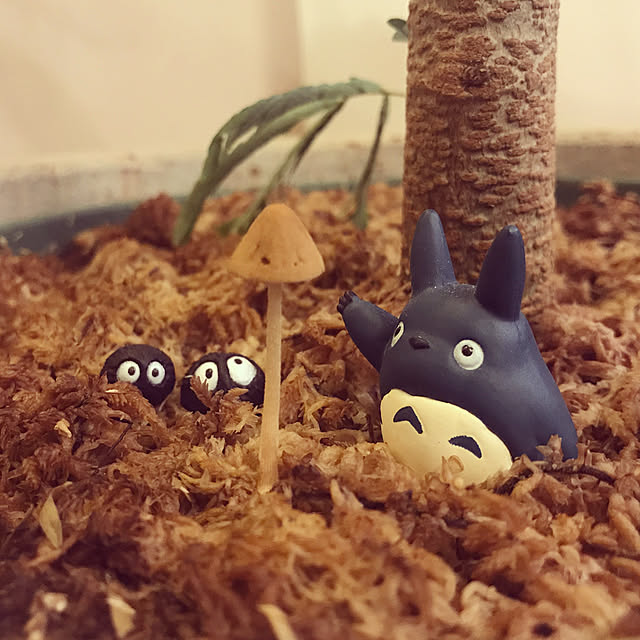e-saoさんの実例写真