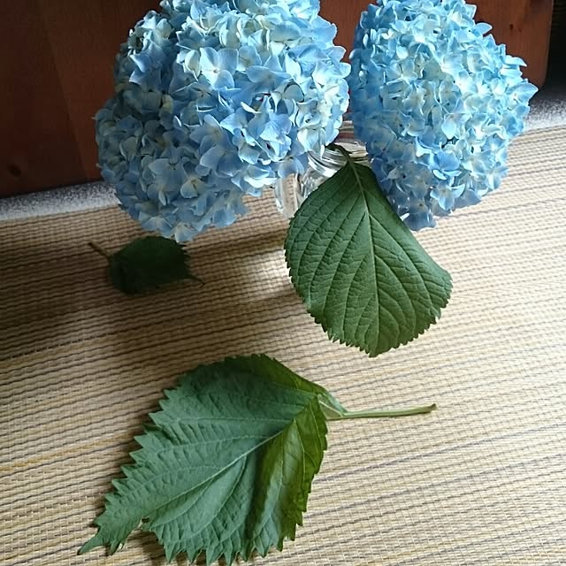 実例写真