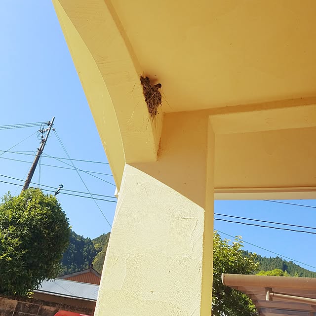 kosaさんの実例写真