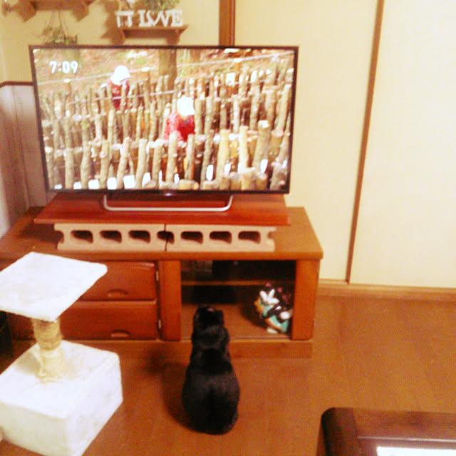 Tomopさんの実例写真