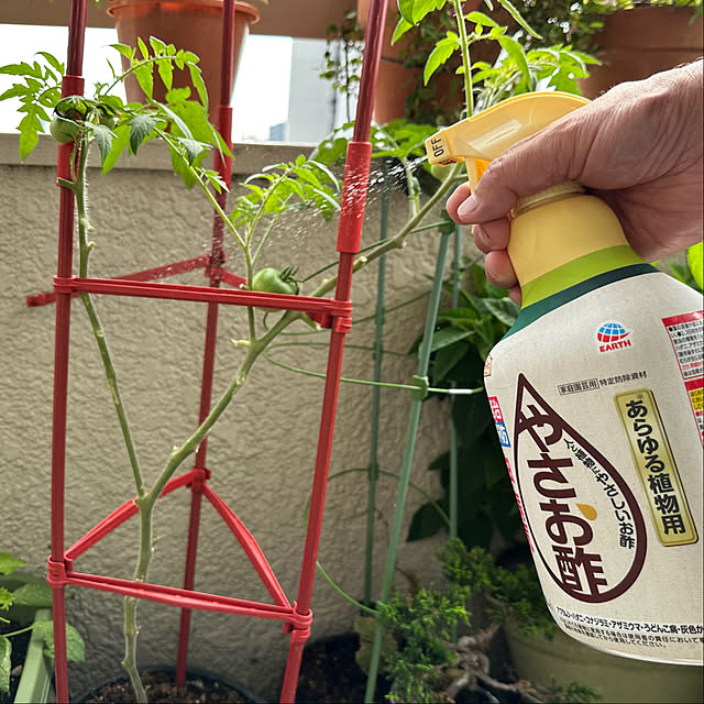 mizucchiさんの実例写真