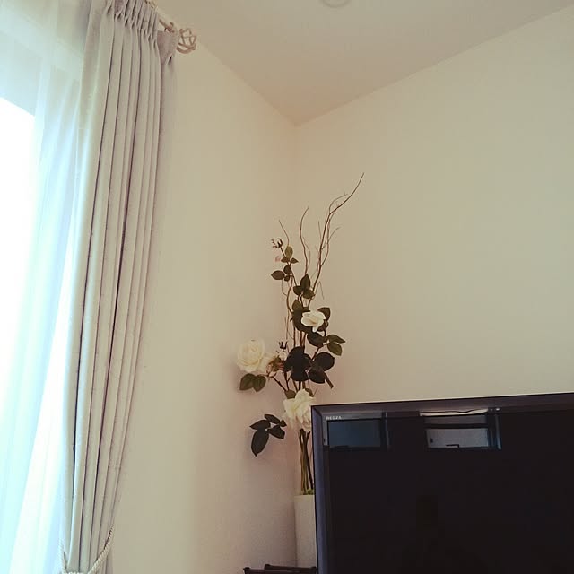 Mikiさんの実例写真