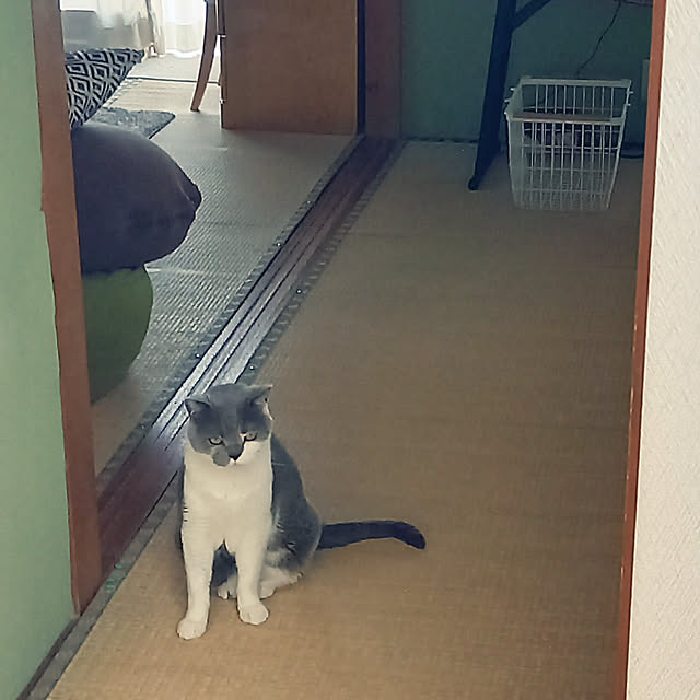 rhuさんの実例写真