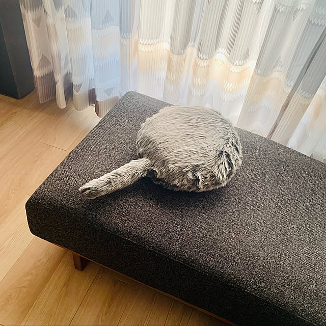 Emmyさんの実例写真