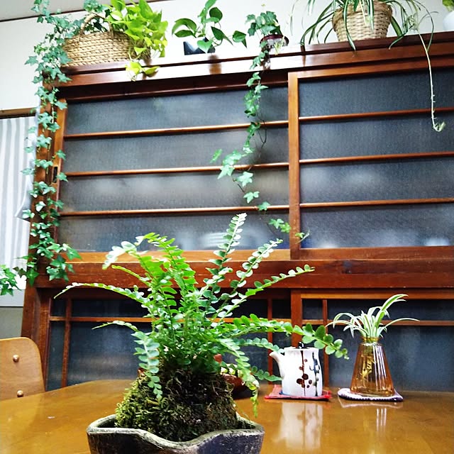 nacoさんの実例写真
