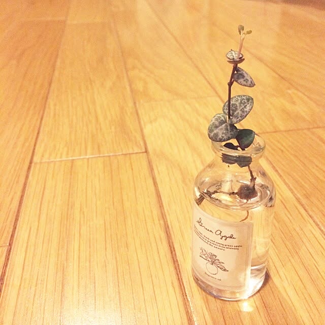 Rieさんの実例写真