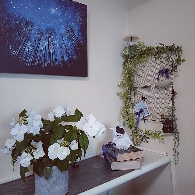 NOAHさんの実例写真