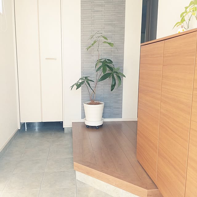 tan5さんの部屋