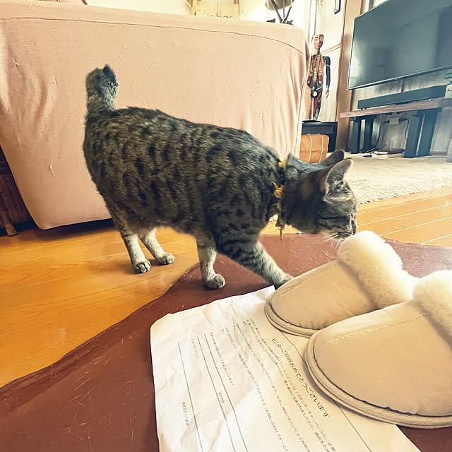 Mさんの実例写真