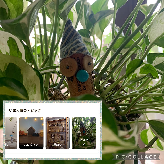 Aqettyさんの実例写真