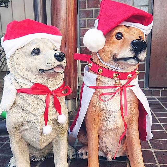 NOAHさんの実例写真