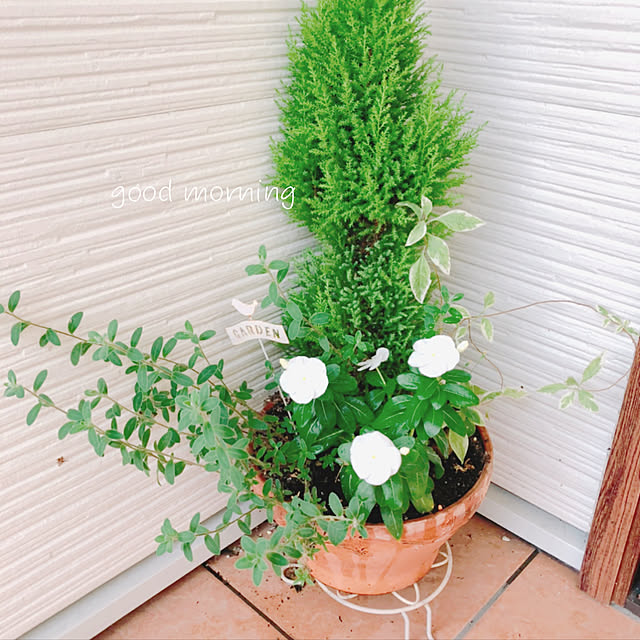 kinaさんの実例写真