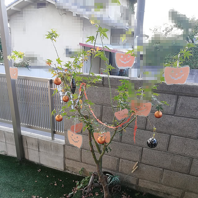 bambiさんの実例写真