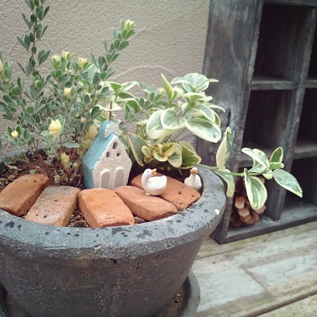 kokkomachaさんの実例写真