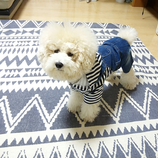 loveさんの実例写真