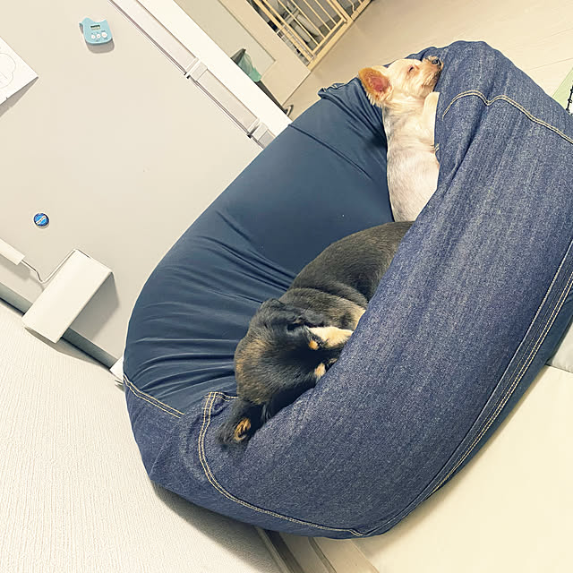 ohanaさんの実例写真