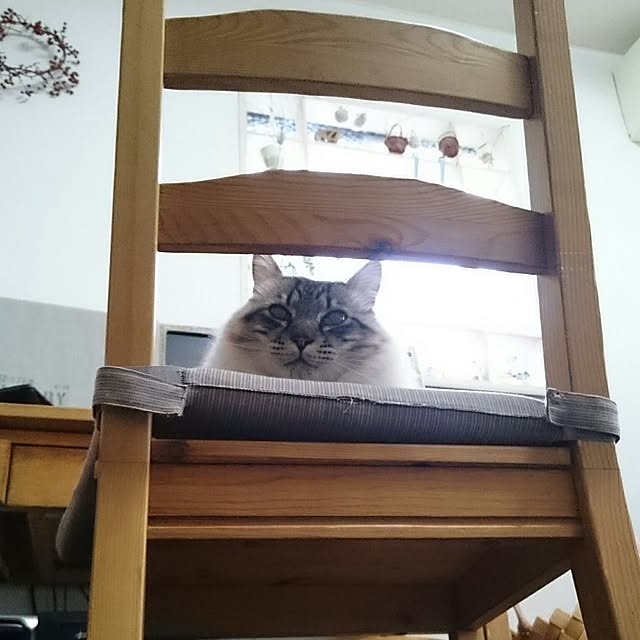 kazaneさんの実例写真