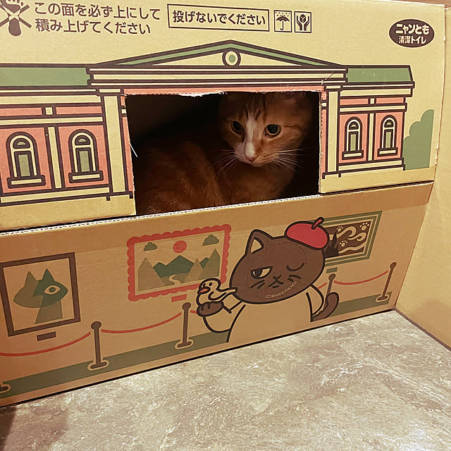 maimaiさんの部屋
