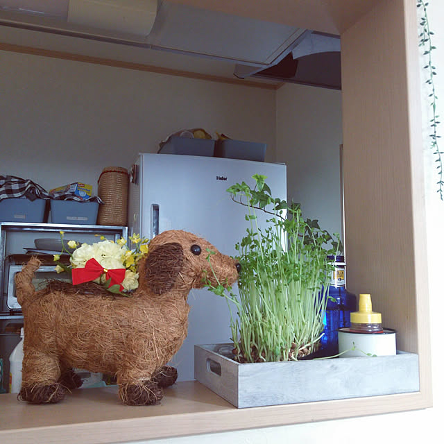 Ri-さんの実例写真