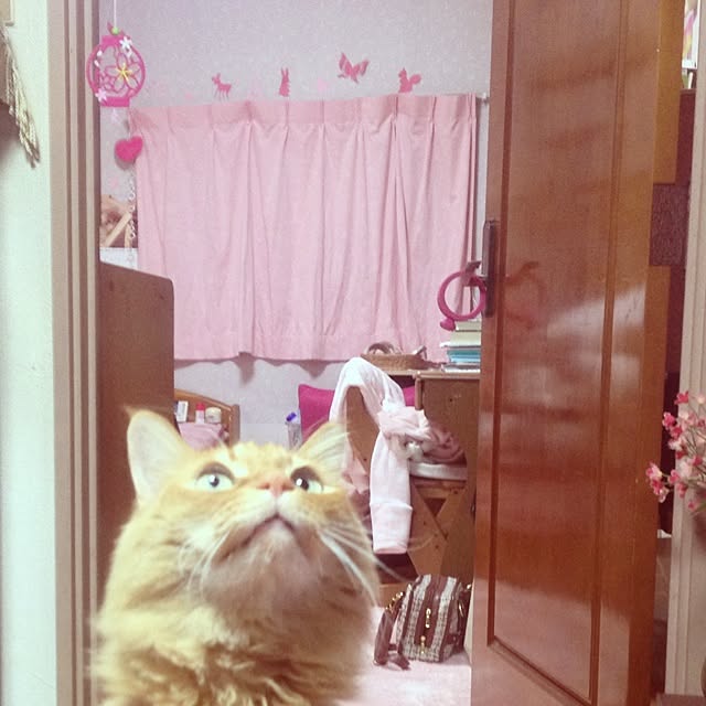 Arisamaさんの実例写真