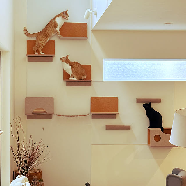 lemonadeさんの実例写真