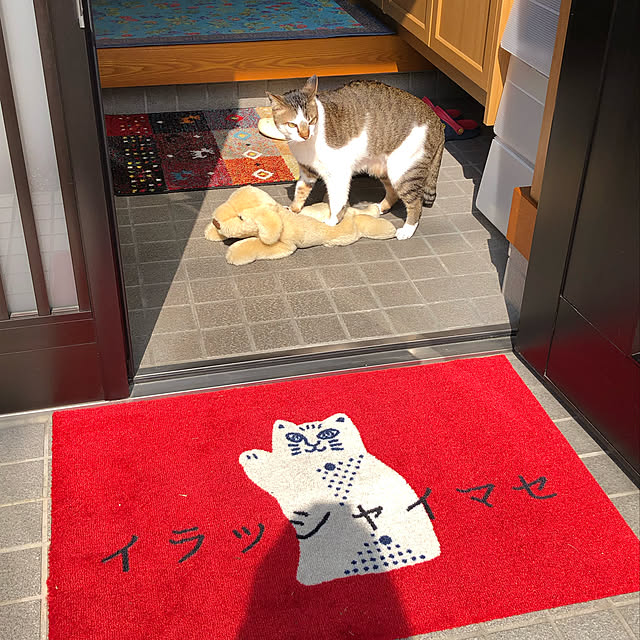haruminさんの実例写真