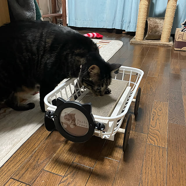 momocchiさんの部屋